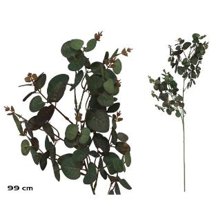 VARA EUCALIPTO X 160 - 99 CM VERDE/RJ