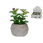 MACETA ORLANDO DECORAFA 6X6X4.5 CM