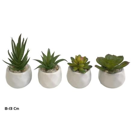 MACETA C-SUCULENTAS 8-13 CM (S)