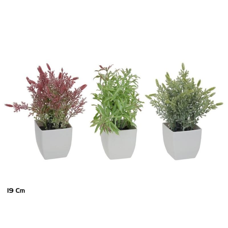 MACETA PLASTICO HERBS SET MOD.4 - 19 CM