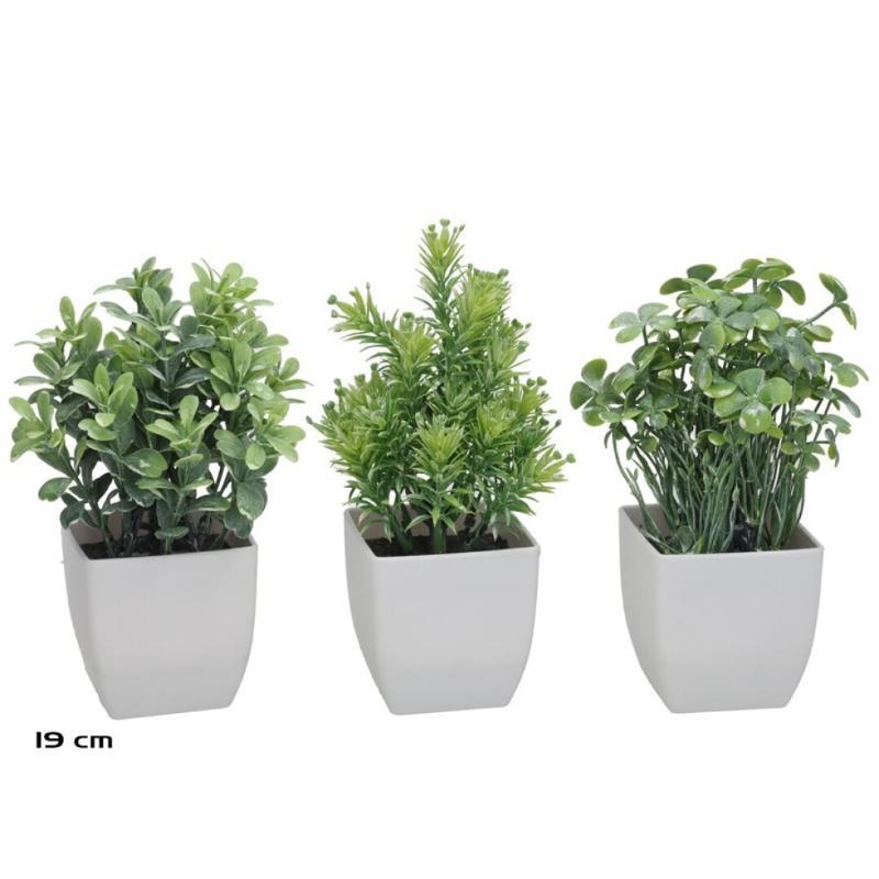 MACETA PLASTICO HERBS SET MOD.5 - 19 CM