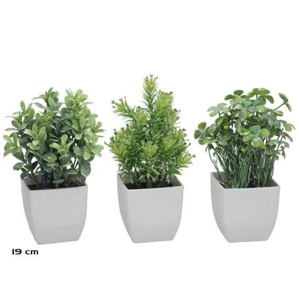 MACETA PLASTICO HERBS SET MOD.5 - 19 CM