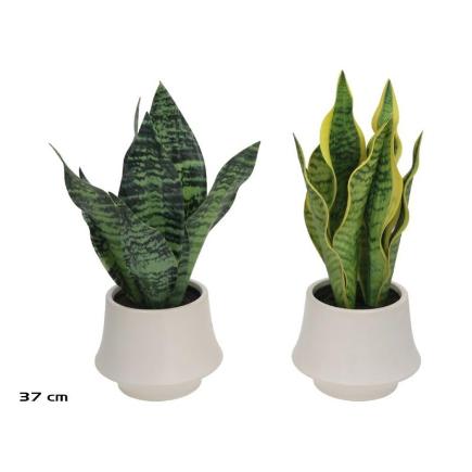 MACETA CERAMICA SENSEVERIA 37 CM