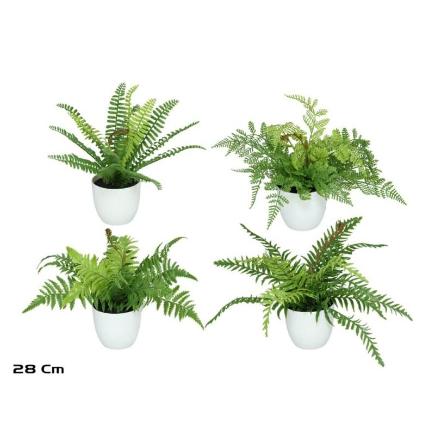 MACETA HELECHOS X15 LVS-28 CM (S)