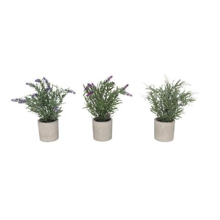 MACETA P/POT LAVANDA 26 CM SURTIDAS