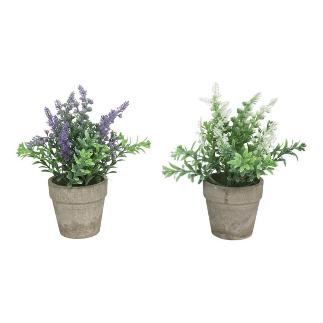 MACETA LAVANDA MIX 22 CM
