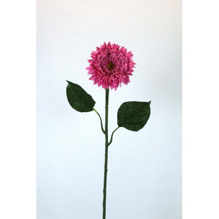 GERBERA MICROP 82 CT ROSA