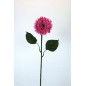 GERBERA MICROP 82 CT ROSA