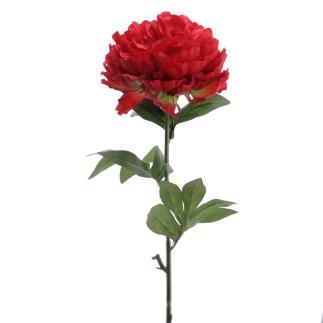 PEONIA SUPREME 80 CMS ROJO