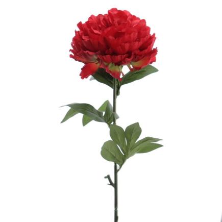 PEONIA SUPREME 80 CMS ROJO
