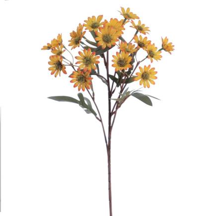 MARGARITAS AMARILLO