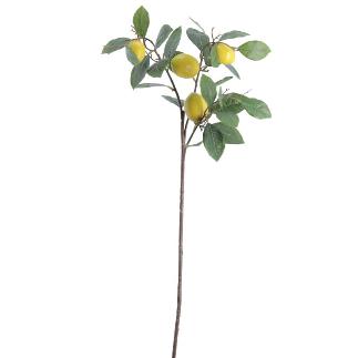 RAMA LIMONES AMARILLO