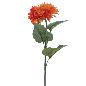 DAHLIA MUM NARANJA