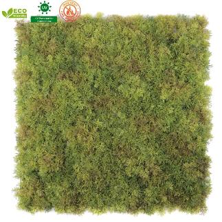 JARDIN VERTICAL CUADRADO MUSGO 50 CMX50 CM