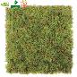 JARDIN VERTICAL CUADRADO MUSGO 50 CMX50 CM