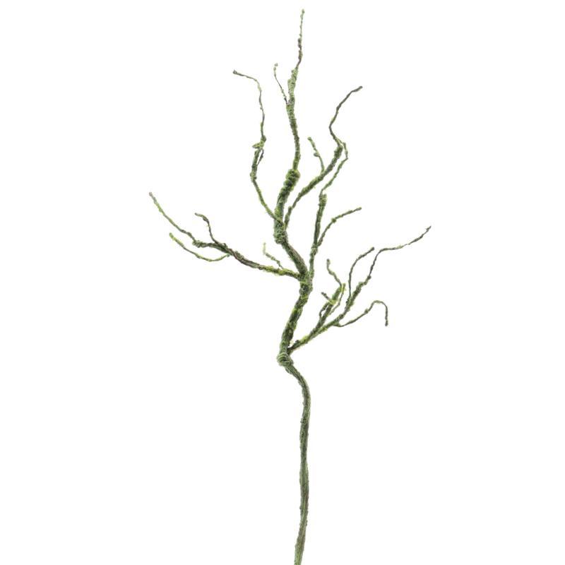 RAIZ VERDE