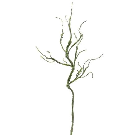 RAIZ VERDE