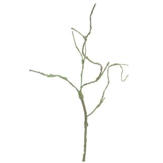 RAIZ VERDE