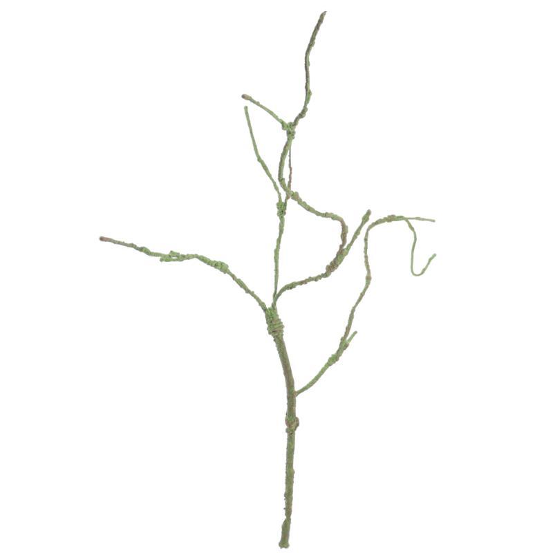 RAIZ VERDE