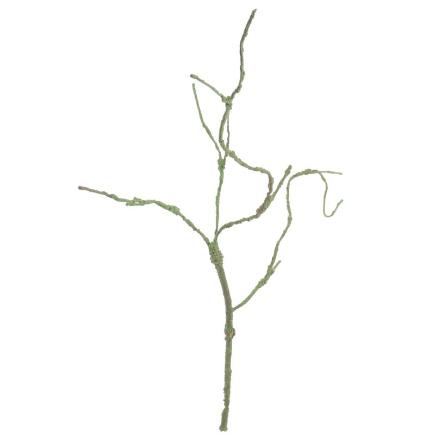 RAIZ VERDE