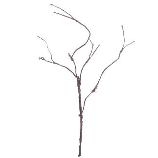 RAIZ MARRON