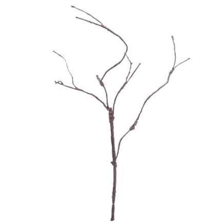 RAIZ MARRON