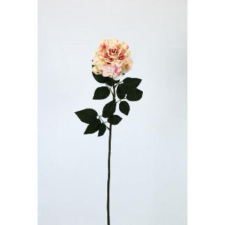 VARA ROSA AFRICANA 70 CT MELOCOTON