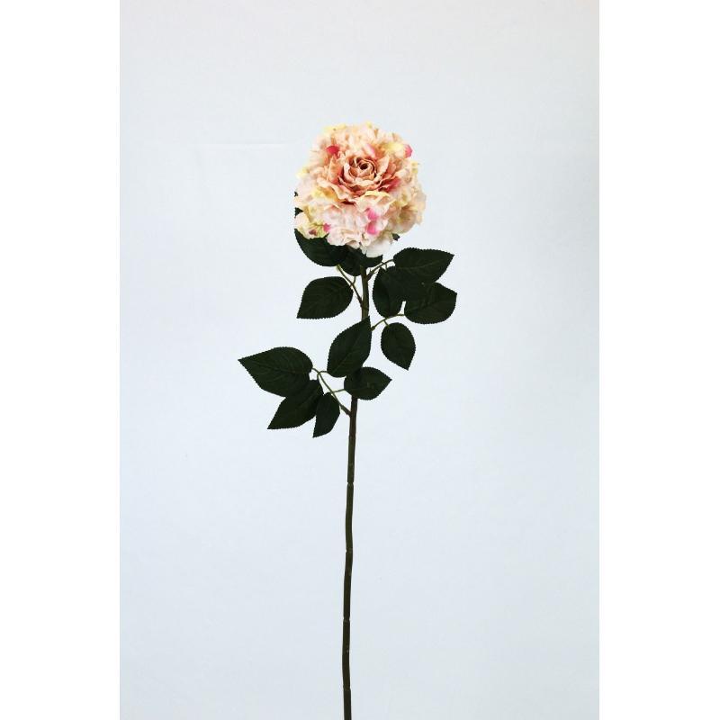 VARA ROSA AFRICANA 70 CT MELOCOTON
