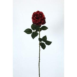 VARA ROSA AFRICANA 70 CT ROJO