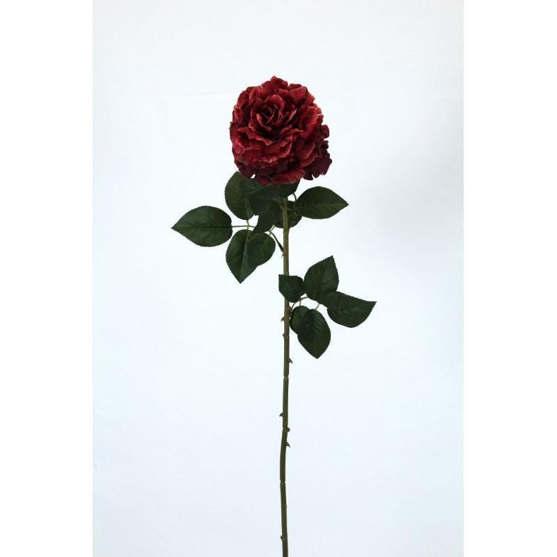VARA ROSA AFRICANA 70 CT ROJO
