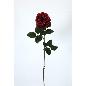 VARA ROSA AFRICANA 70 CT ROJO