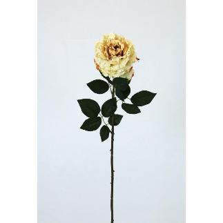 VARA ROSA AFRICANA 70 CT CREMA