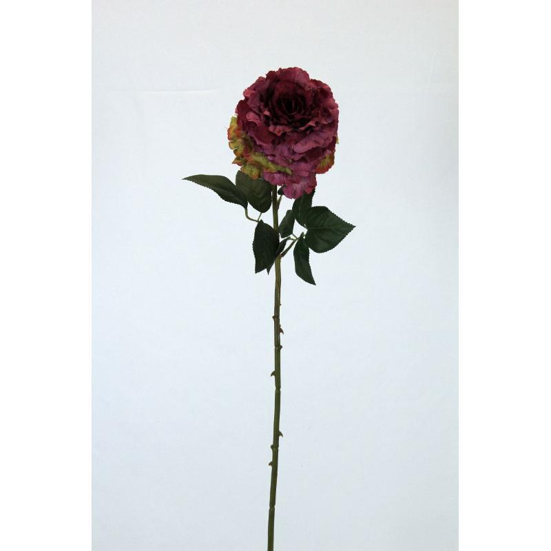 VARA ROSA AFRICANA 70 CT BURDEOS