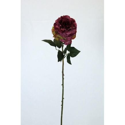 VARA ROSA AFRICANA 70 CT BURDEOS