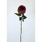 VARA ROSA AFRICANA 70 CT BURDEOS