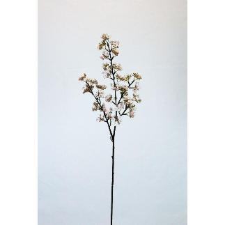 V.PAPAVEL X4 83 CM BLANCO