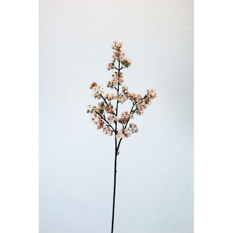 V.PAPAVEL X4 83 CM MELOCOTON