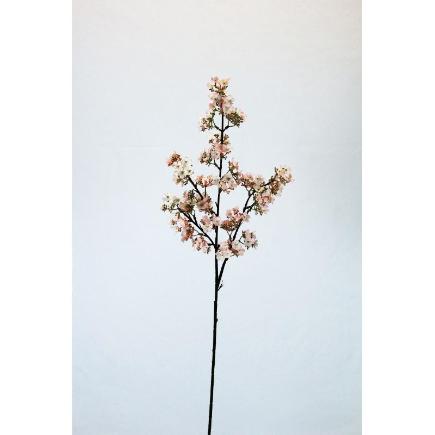 V.PAPAVEL X4 83 CM MELOCOTON