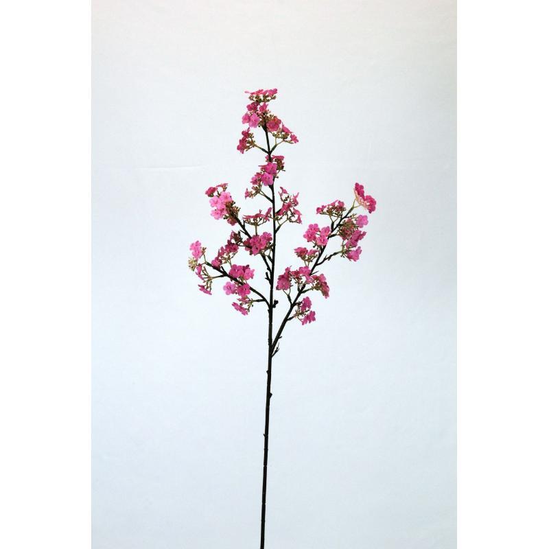 V.PAPAVEL X4 83 CM CICLAMEN