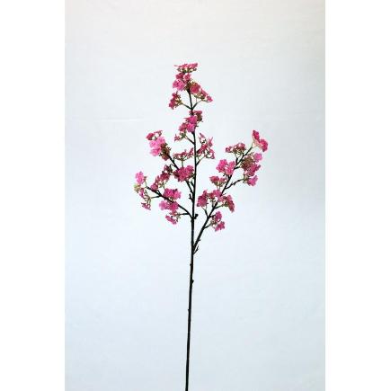 V.PAPAVEL X4 83 CM CICLAMEN
