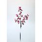 V.PAPAVEL X4 83 CM CICLAMEN