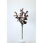 VARA CYMBIDIUM PLAST LILA