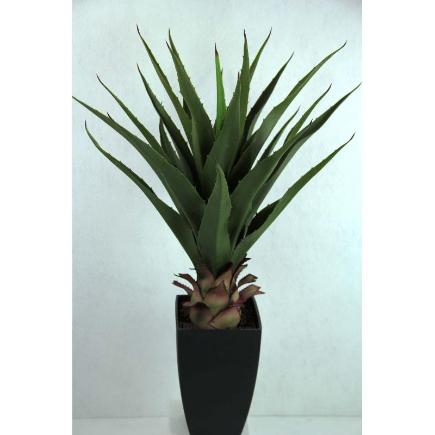 MACET ALOE VERA 0.75
