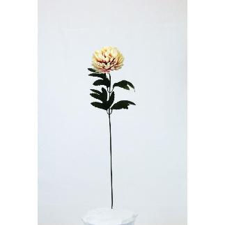 VARA CRISANTEMO A.66 CREMA