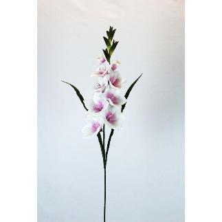 GLADIOLO SATIN CREMA