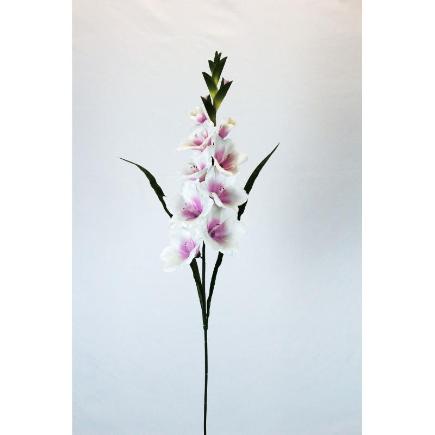 GLADIOLO SATIN CREMA