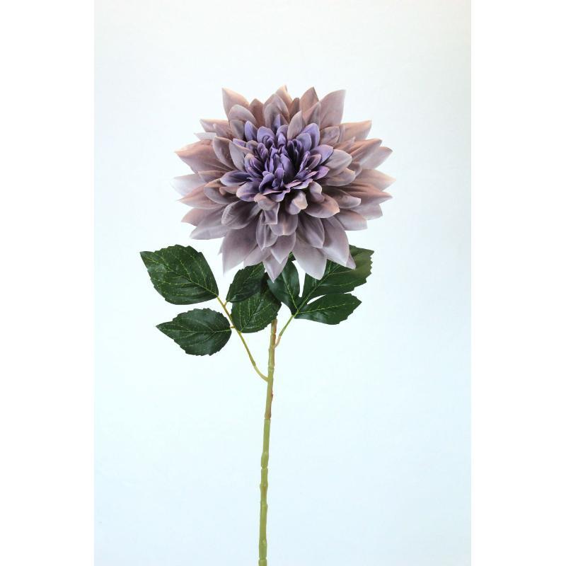 V.DALIA GRANDE MALVA