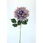 V.DALIA GRANDE MALVA