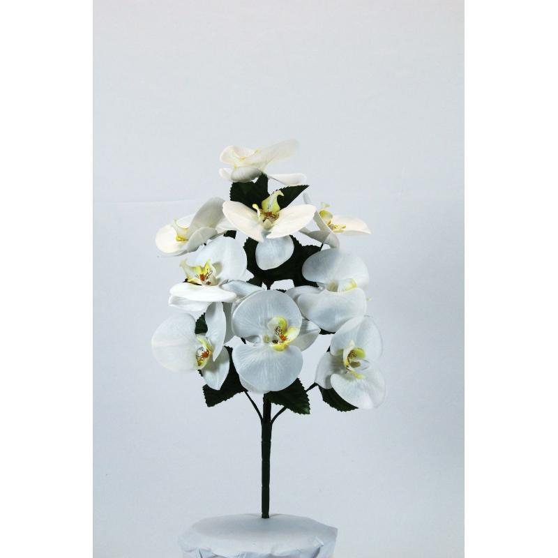 L. CYMBIDIUMS X9 BLANCO