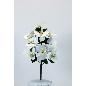 L. CYMBIDIUMS X9 BLANCO